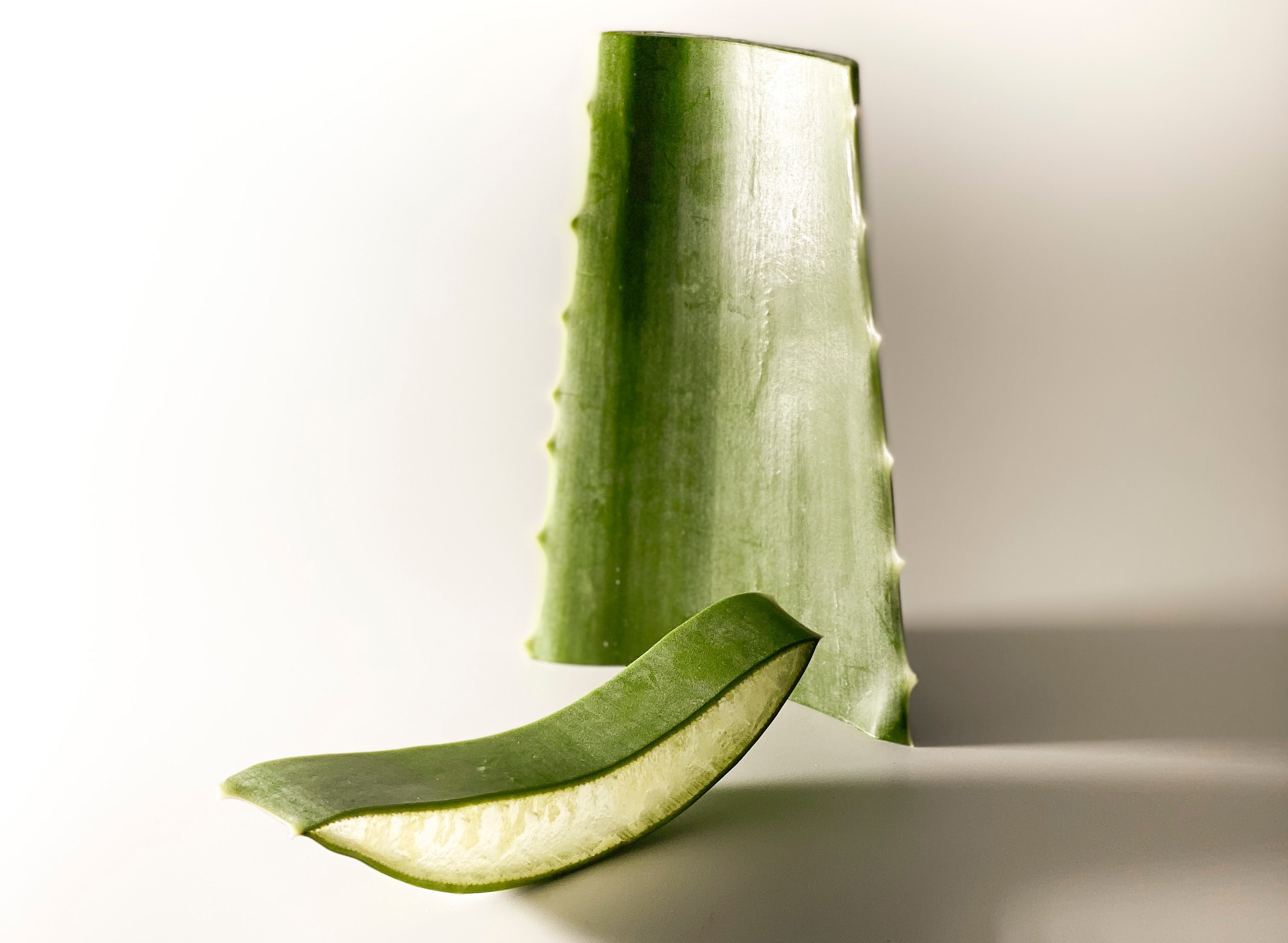 LES BIENFAITS DE L'ALOE VERA