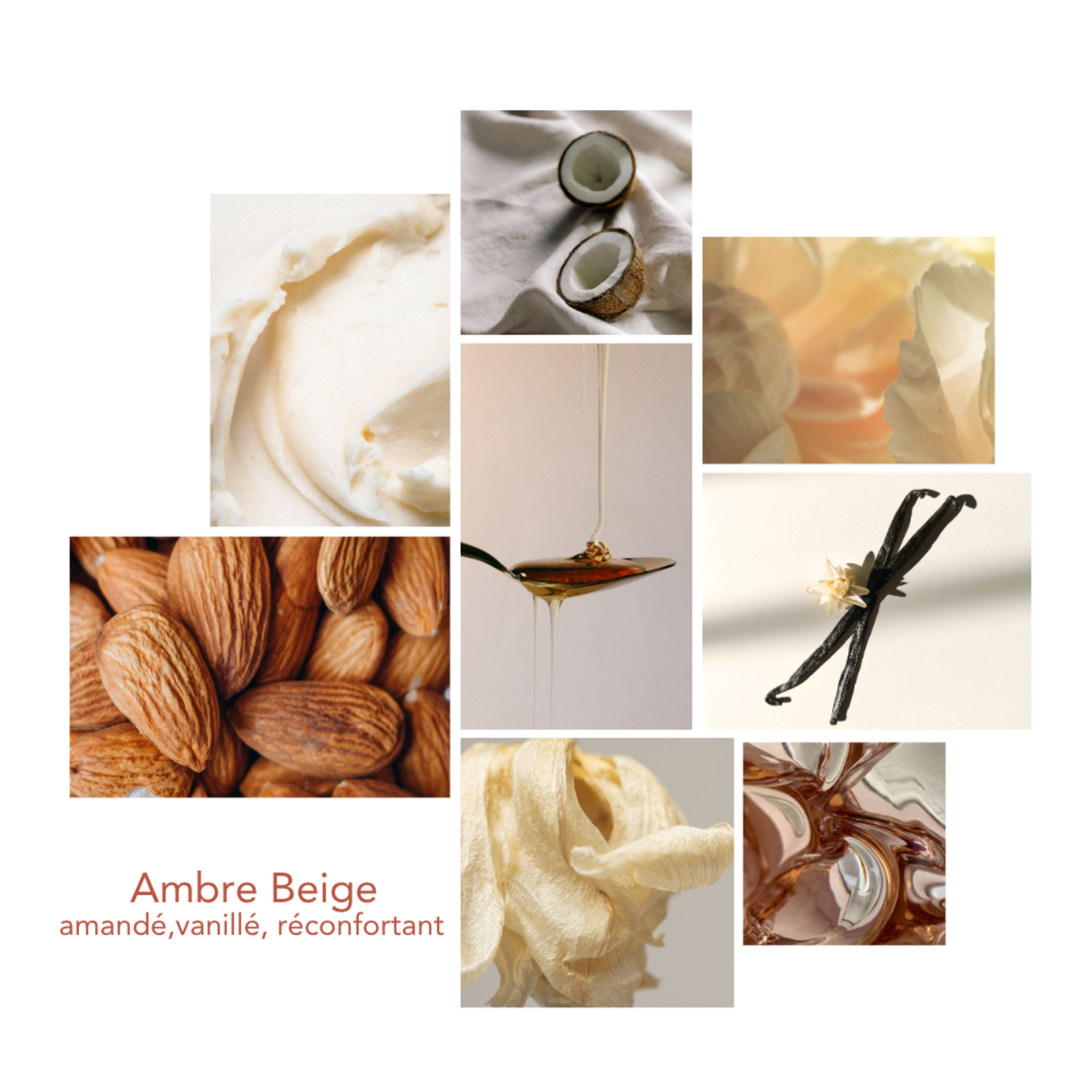 Univers olfactif Ambre Beige Pikoc : notes de tête : fleur de coco, note de coeur : amande crémeuse, note de fond : vanille ambrée, ambiance : amandé, vanillé, réconfortant