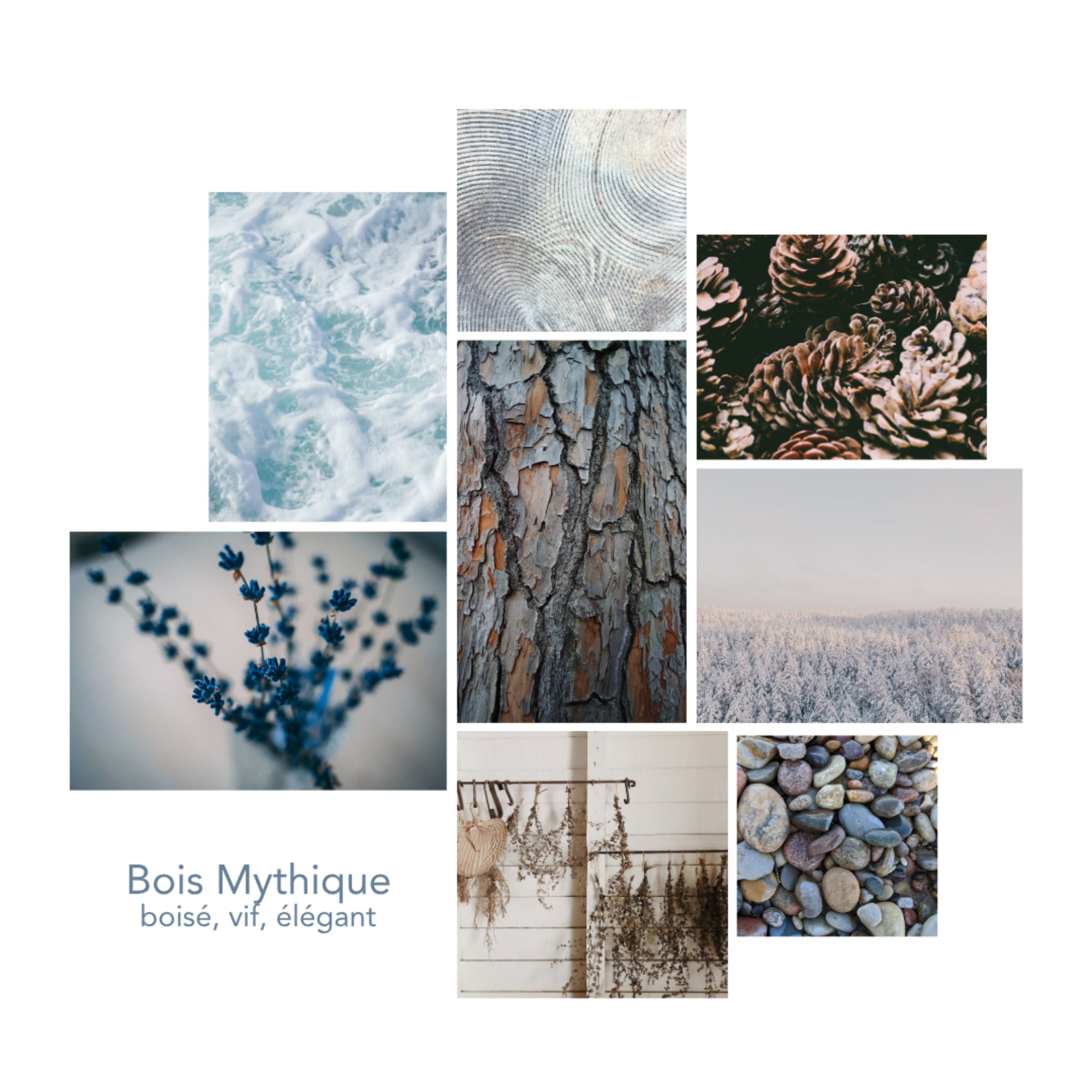 Univers olfactif Bois Mythique Pikoc : notes de tête : fraîcheur aromatique, note de coeur : aiguilles de pin, note de fond : bois précieux, ambiance : boisé, vif, élégant