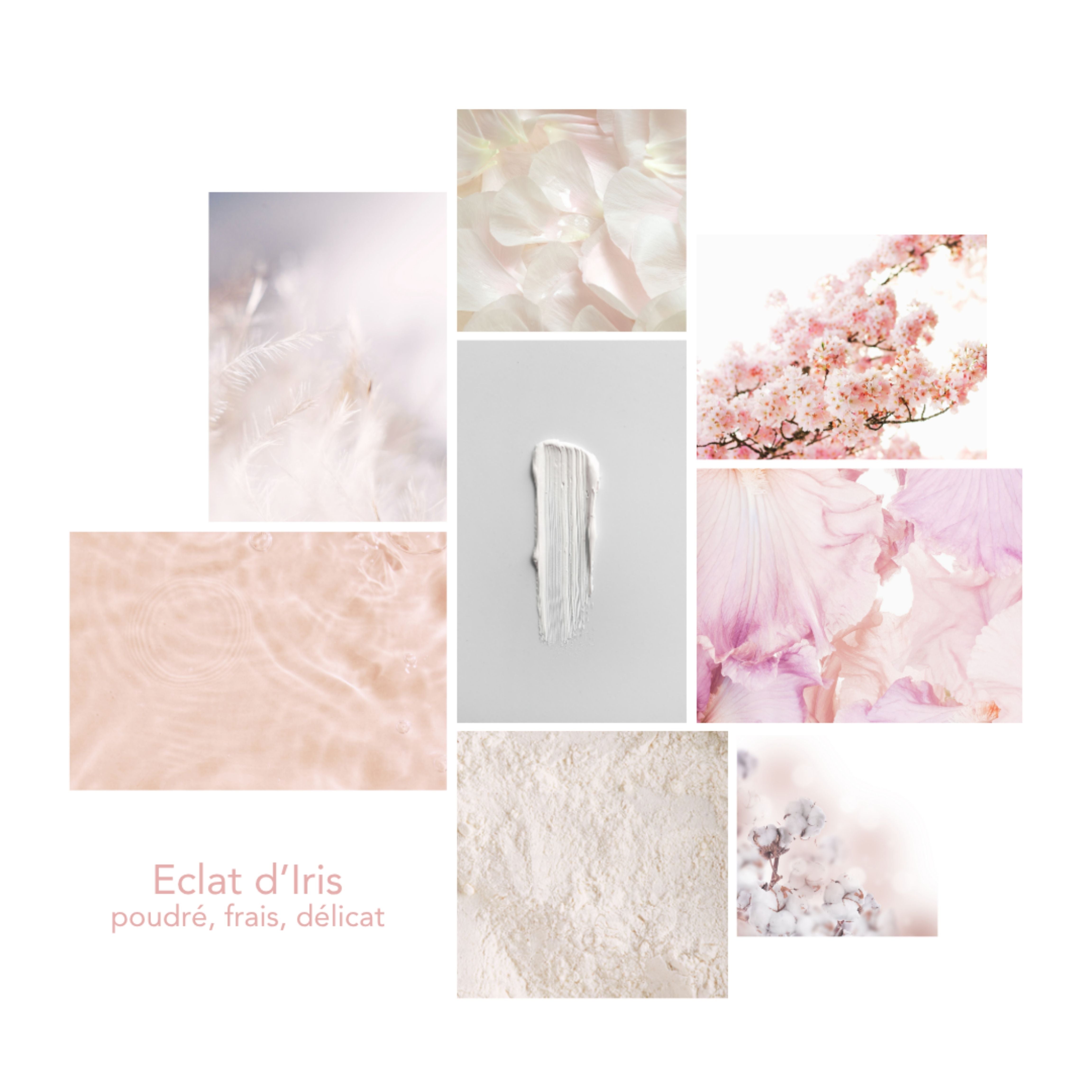 Univers olfactif Éclat d’Iris Pikoc : notes de tête : douceur fruitée, note de coeur : pétales d’Iris et de violette, note de fond : poudre de musc, ambiance : poudré, frais, délicat