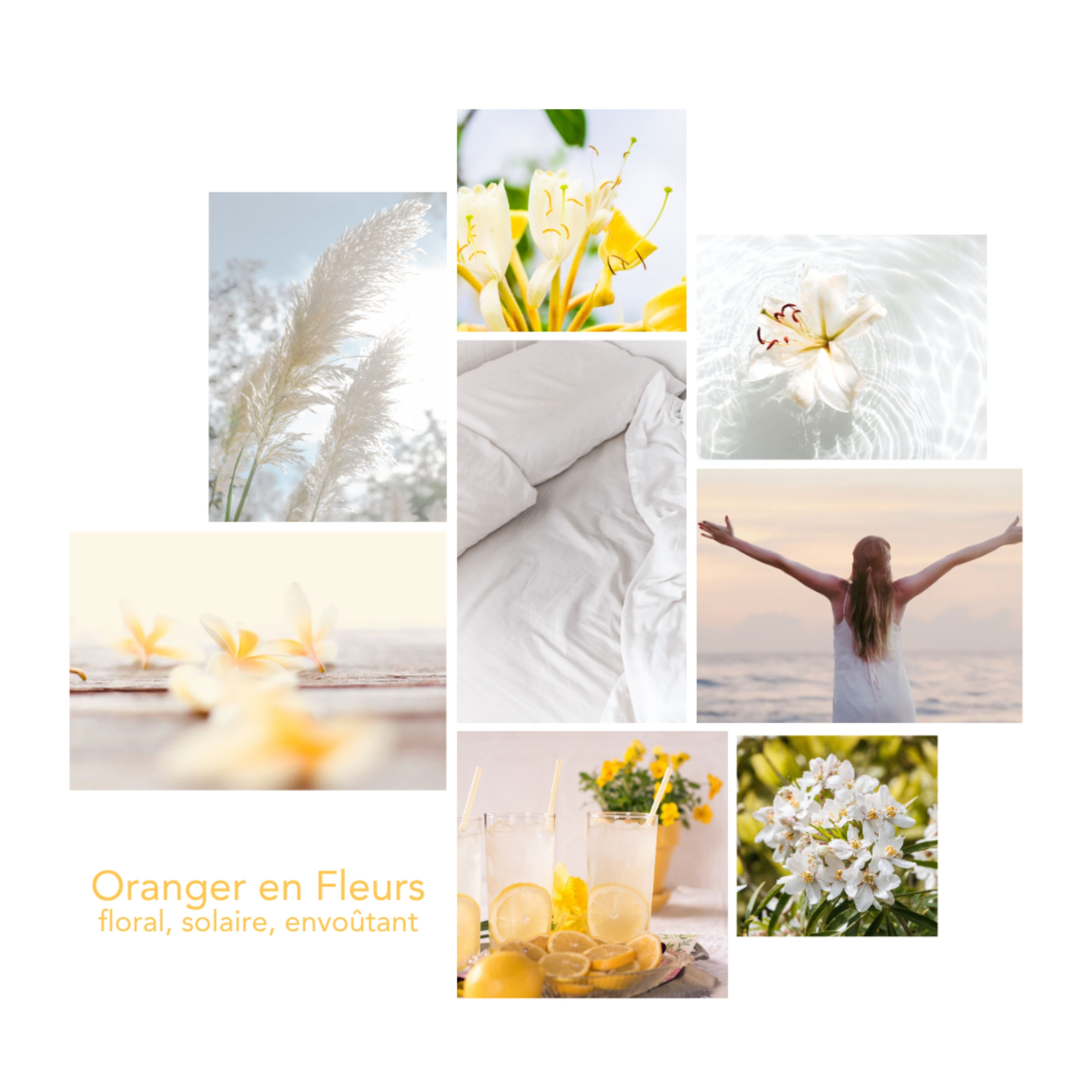 Univers olfactif Oranger en Fleurs Pikoc : notes de tête : bergamote, note de coeur : fleur d’oranger, note de fond : ambre solaire, ambiance : floral, solaire, envoûtant