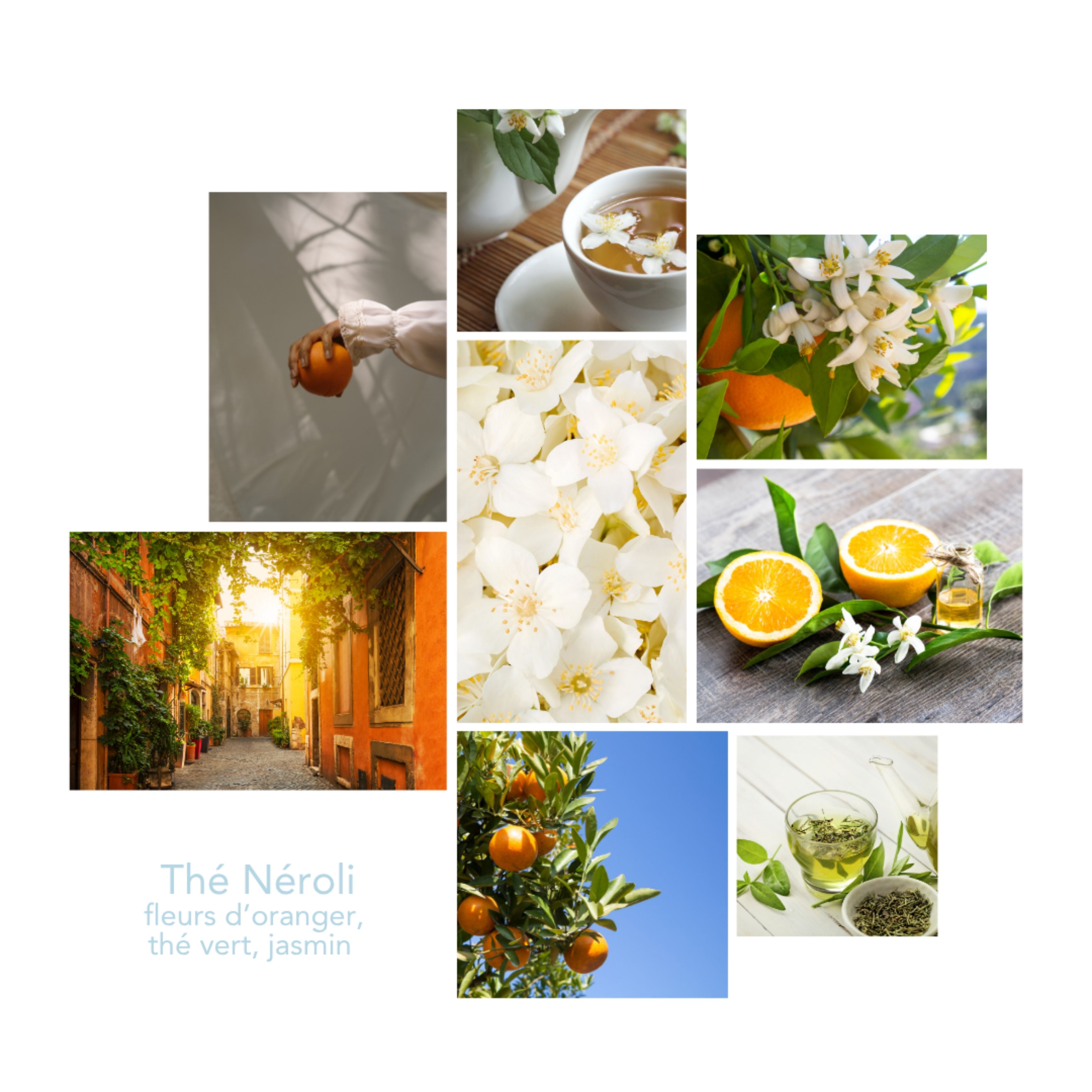 Univers olfactif Thé Néroli Pikoc : notes et ambiance de fleur d’oranger, thé vert, jasmin