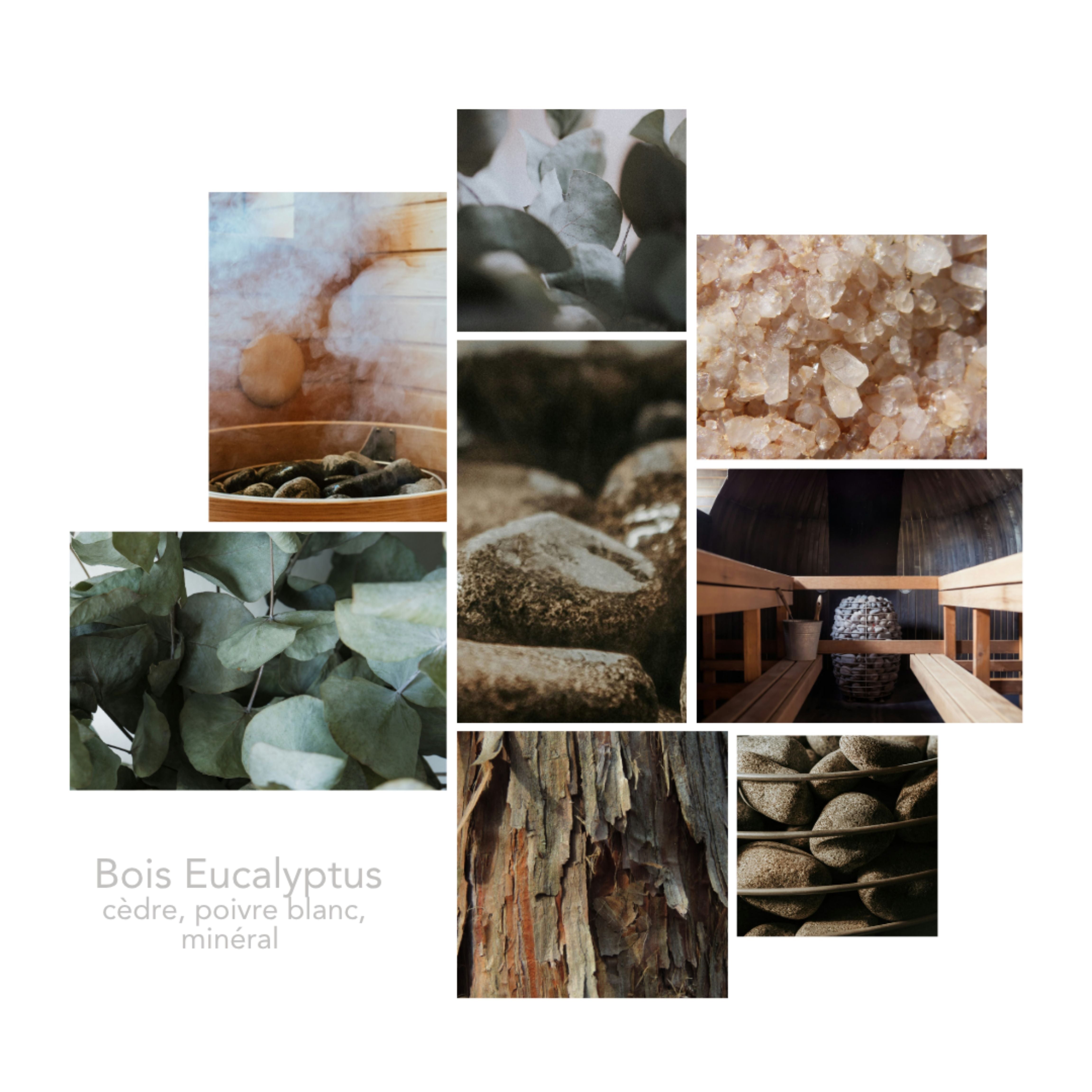 Univers olfactif Bois Eucalyptus Pikoc : notes et ambiance de cèdre, poivre blanc, minéral