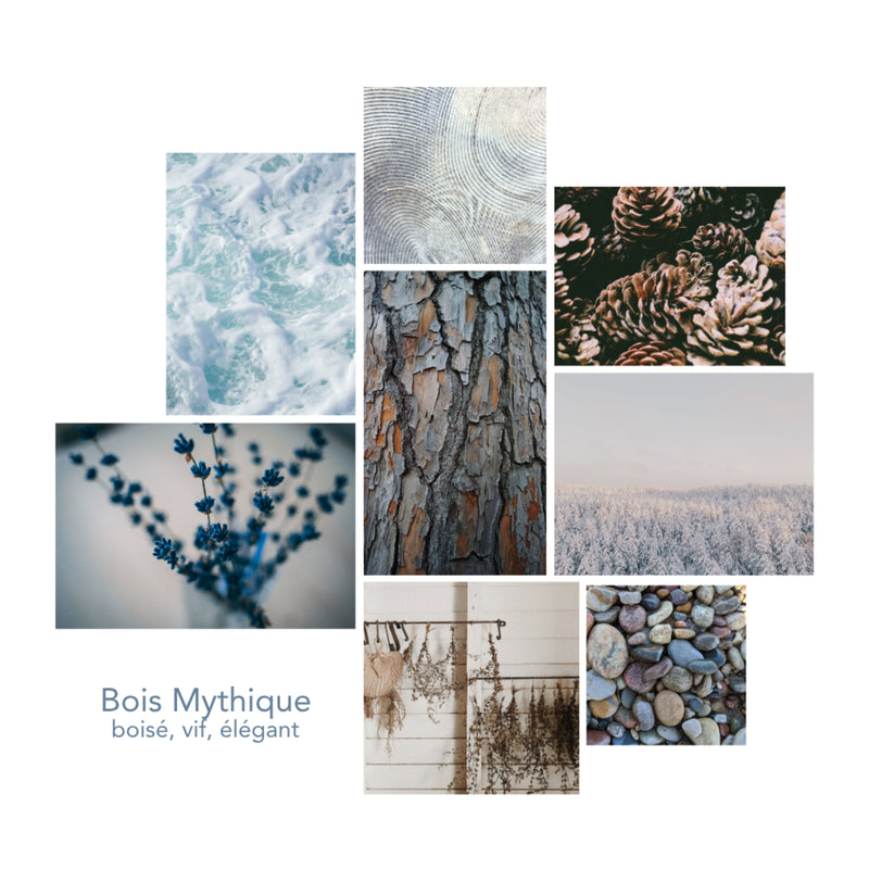 Univers olfactif Bois Mythique Pikoc : notes de tête : fraîcheur aromatique, note de coeur : aiguilles de pin, note de fond : bois précieux, ambiance : boisé, vif, élégant
