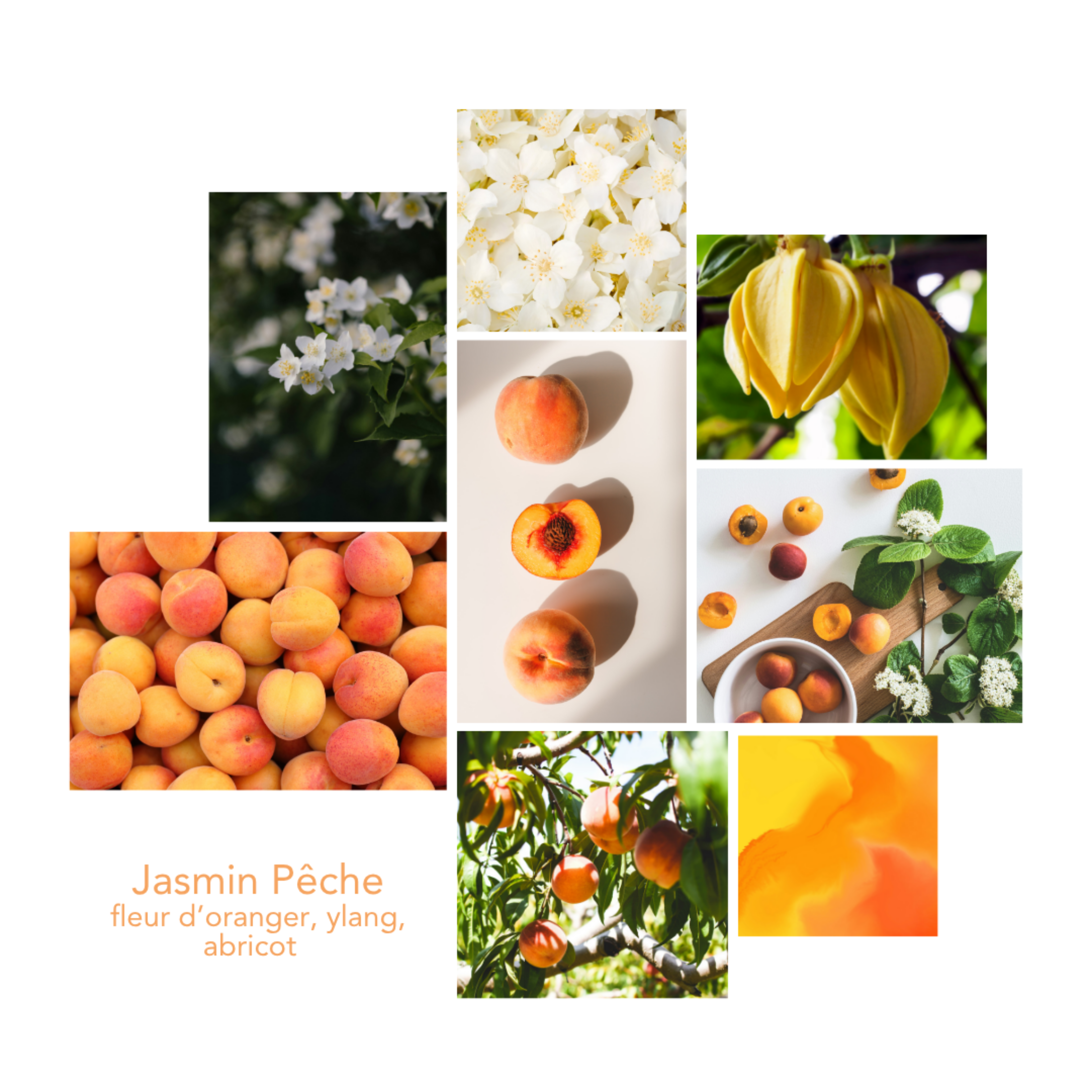 Household vinegar - Jasmine Peach