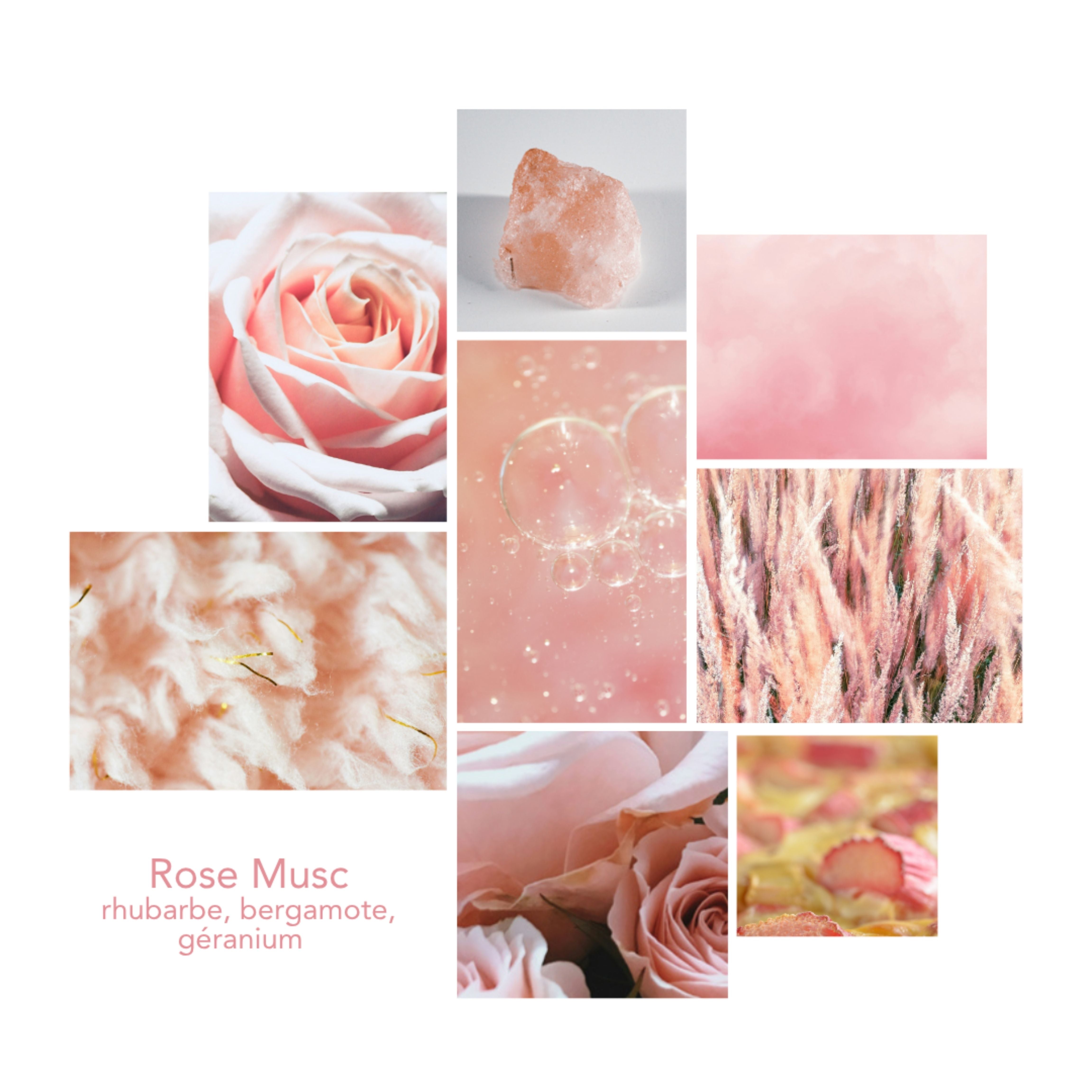 Univers olfactif Rose Musc Pikoc : notes et ambiance de rhubarbe, bergamote, géranium